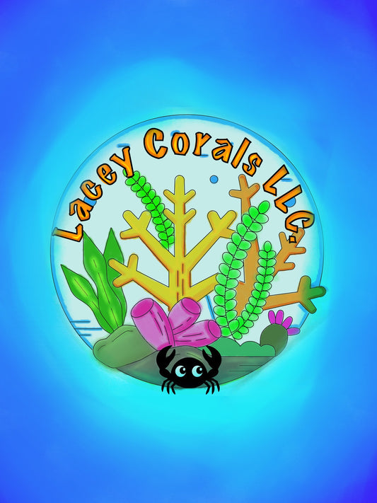gift card from 10-100 lacey corals llc